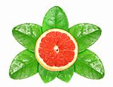 Grapefruit fruit on green leaf with dew