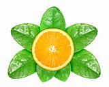 Orange fruit on green leaf with dew