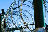 barbed wire against blue sky 