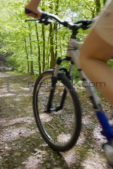 Riding a bicycle in the forest