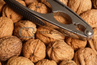 Walnuts and nutcracker