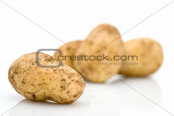 raw potato with earth