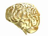 golden brain