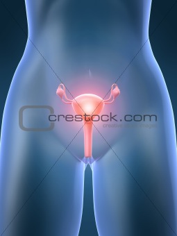 uterus pain