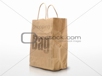 ecological shopping bag icon