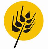 grain wheat icon