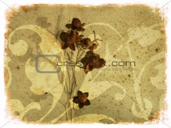 Grunge background with flower
