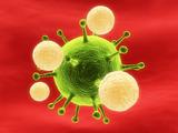 killer cells attacking a virus