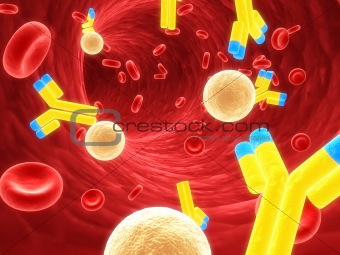 killercells and antibodys