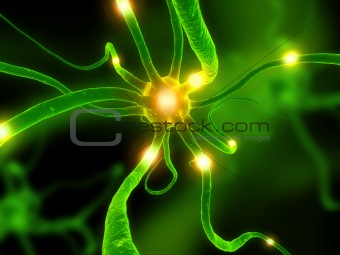 active neuron