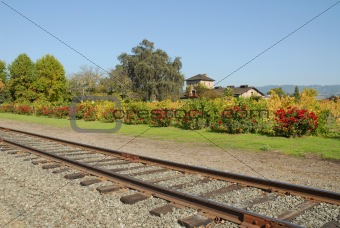 Wine Country railroad