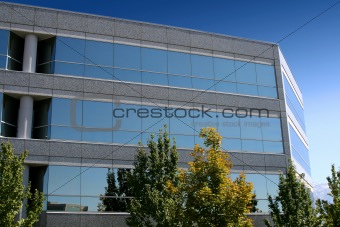 Front of the Mirrored Business Building