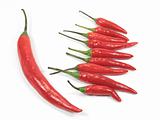Red Chli pepper standout