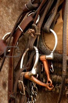 Cowboy saddle gear