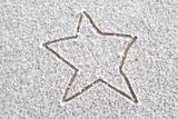 Snow Star