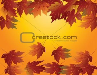 Maple Leaves in Fall Illustration