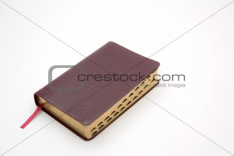 Holy Bible Isolated