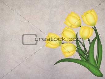 yellow grunge tulip on textured background