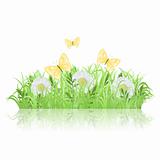 Green grass with white flowers and butterflies
