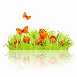 Green grass with red flowers and butterflies