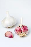 garlic bulbs and clove