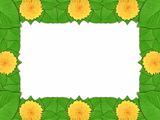 Floral frame with yellow flowers and green leaf