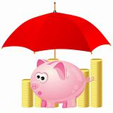 piggy-bank and money under red umbrella