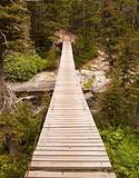 Wood Bridge in Glacier National Park