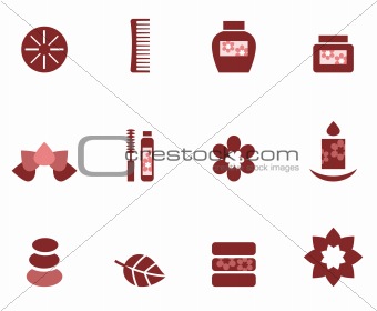 Spa & wellness icons set isolated on white ( brown )