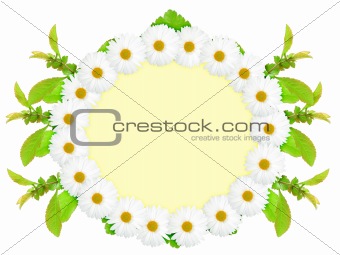 Ellipse frame with white flowers