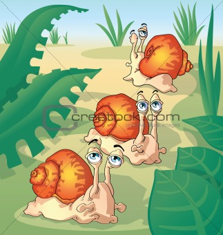 funny snails