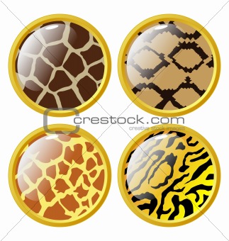 The set of the buttons of animal skins