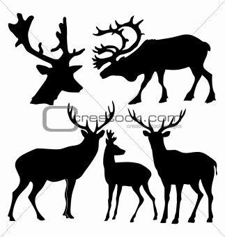 The set of the silhouettes of the deer