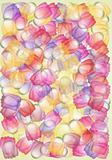 Whimsical multicolored tulips