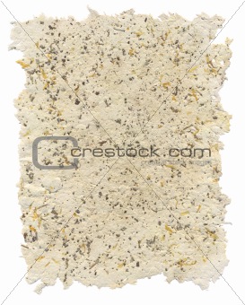 Handmade paper with petals and parts of salvia inside