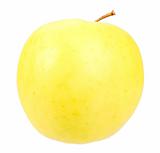 Big fresh yellow apple