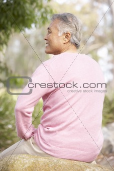 Back View Of Senior Man In Park