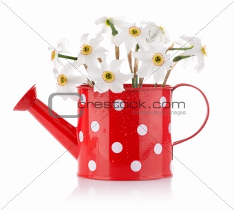 white spring flowers in red vase