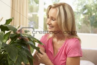 Woman At Home Looking After Houseplant