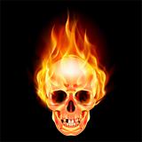 Scary skull on fire