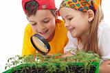 Kids learning to grow food