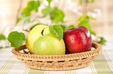 juicy green and red apples in the basket 