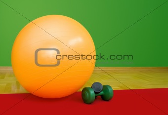 Fitness Ball and Weights