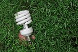 Energy saving light bulb in hand on a green grass background