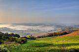Morning fog in green valley