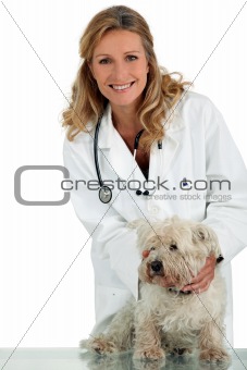 Veterinarian with small white dog