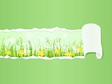 Beautiful Green Grass Meadow under Ripped Paper. Floral Vector Illustration of Grass at Lawn With Blue Sky