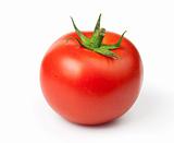 One Juicy Tomato on a white background