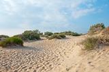 Sand dunes near the coast of the Black Sea near Anapa, Russia