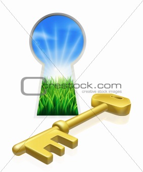 Key to freedom concept